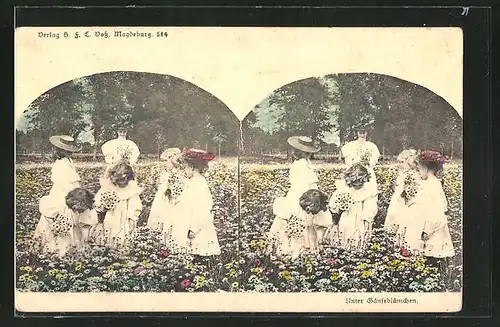 Stereo-AK Mädchen pflücken Blumen auf der Wiese, "Unter Gänseblümchen"