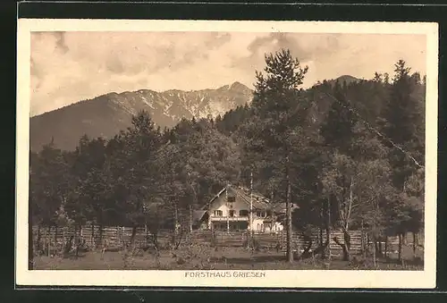 AK Garmisch, Blick zum Forsthaus Griesen