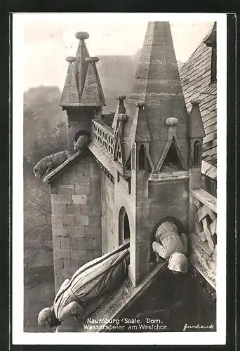 AK Naumburg, Dom, Wasserspeier am Westchor