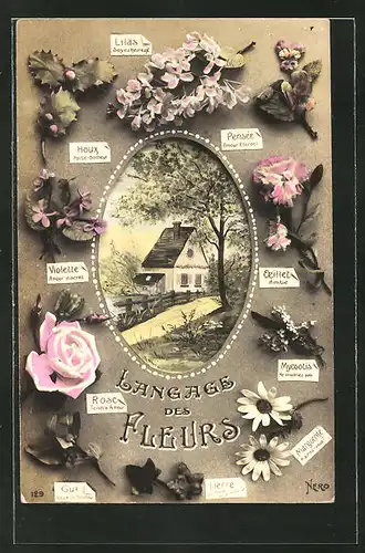 AK Langage des Fleurs / Blumensprache, Rosen, Margeriten