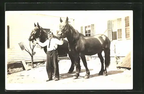 Foto-AK Torrington, WY, Mann hält zwei Pferde am Halfter