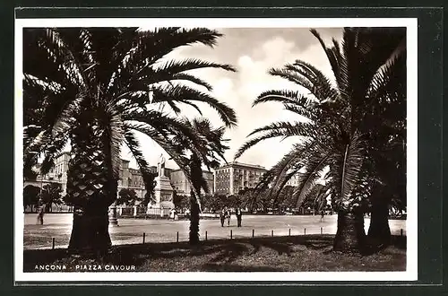 AK Ancona, Piazza Cavour