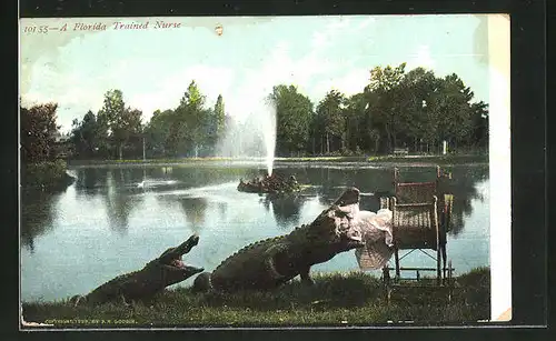 AK A Florida traines Nurse, Krokodil frisst Baby am Ufer