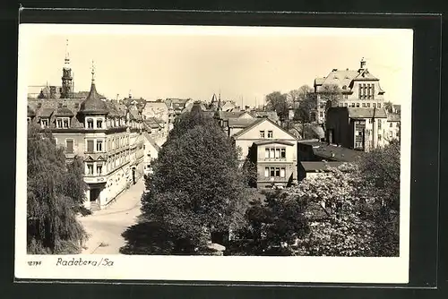 AK Radeberg, Blck auf den Ort