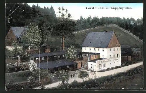 AK Schöna, Gasthaus Forstmühle im Krippengrunde