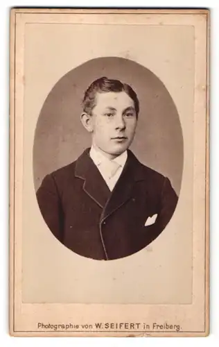 Fotografie W. Seifert, Freiberg, Portrait junger Mann im Anzug mit Krawatte