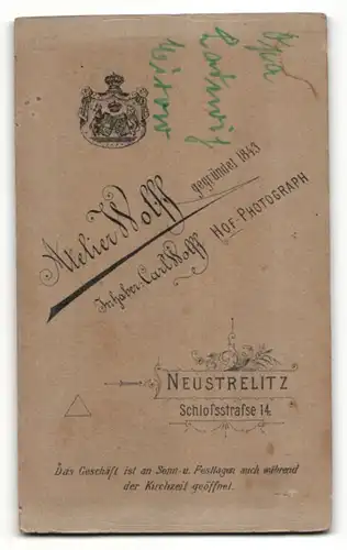 Fotografie C. Wolff, Neustrelitz, Portrait Mann mit Schnauzbart im Anzug mit Fliege