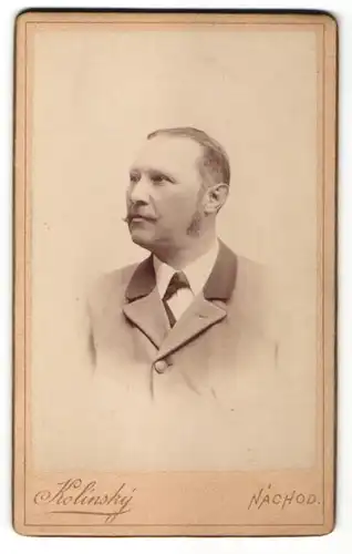 Fotografie Kolinsky, Nachod, Portrait Mann mit Schnauzbart in einer Anzugjacke