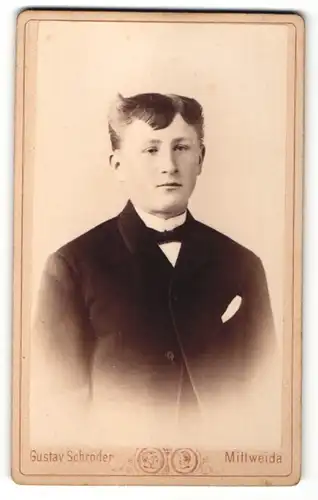 Fotografie Gustav Schröder, Mittweida, Portrait Junge im Anzug mit Fliege