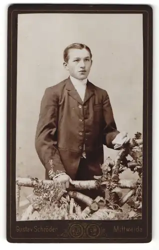Fotografie Gustav Schröder, Mittweida, Portrait Bub in Anzug