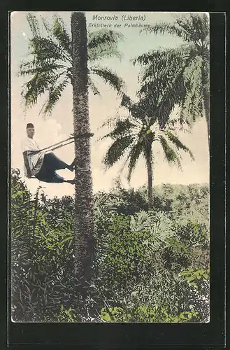 AK Monrovia, Erklettern der Palmenbäume
