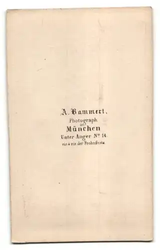 Fotografie A. Bammert, München, Portrait Mann mit Locken und Fliege im Anzug