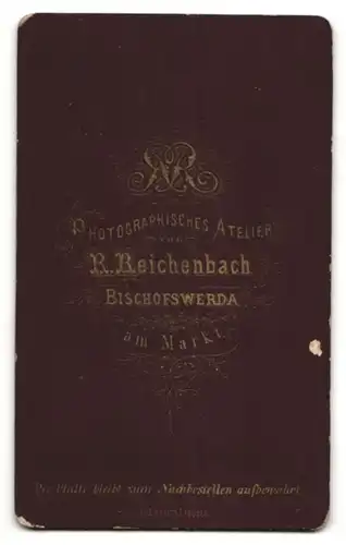 Fotografie R. Reichenbach, Bischofswerda, Portrait jugendlicher Knabe in festlicher Kleidung mit Fliege