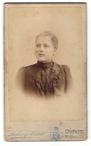 Fotografie Ludwig Habel, Ostritz, Portrait blondes Fräulein in elegant bestickter Bluse