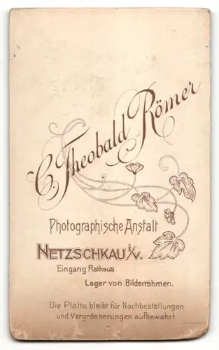 Fotografie Theobald Römer, Netzschkau i. V., Portrait charmantes Fräulein im prachtvollen Rüschenkleid mit Halskette