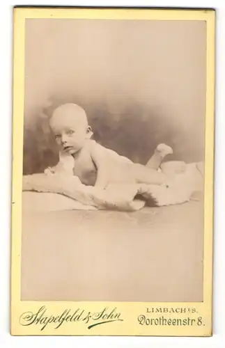 Fotografie Stapelfeld & Sohn, Limbach, Portrait Baby auf einer Decke