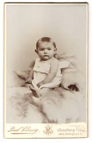 Fotografie Paul Körnig, Annaberg i. / Erzgeb., Portrait Kleinkind im weissen Hemd auf einem Fellteppich