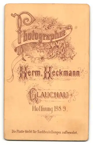 Fotografie Herm. Heckmann, Glauchau, Portrait Junge mit Fliege im Anzug