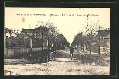 AK Villeneuve le Roi, Parc de la Faisanderie, Avenue Caroline Thèrèse