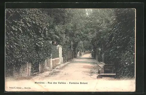 AK Mandres, Rue des Vallees, Fontaine Breant