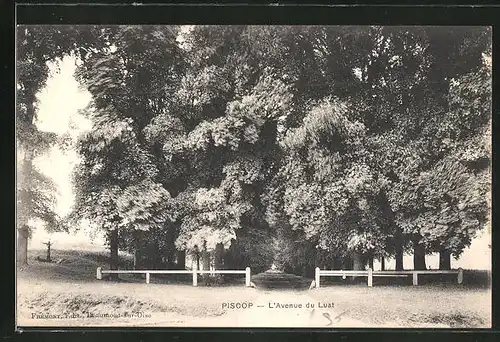 AK Piscop, L'Avenue du Luat