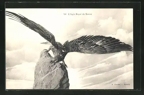 AK Adler auf einem Fels