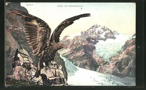 AK Ein Adler in den Alpen