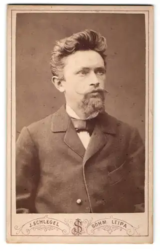 Fotografie J. Schlegel, Böhm. Leipa, Portrait hübscher junger Mann mit Bart und Fliege im Jackett