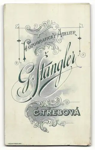 Fotografie G. Stangler, C. Trebová, Portrait halbwüchsiger Knabe mit Bürstenhaarschnitt
