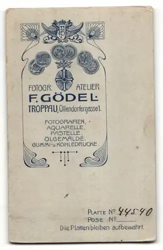 Fotografie F. Gödel, Troppau, Portrait Knabe in Anzug