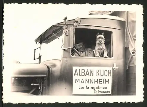 Fotografie Lastwagen, LKW der Spedition Alban Kuch in Mannheim, Kraftfahrer & Hund schauen aus dem Fenster