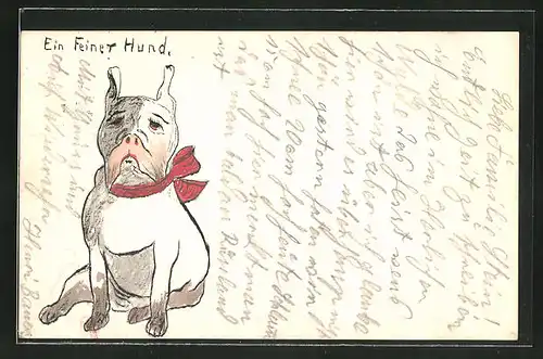 Künstler-AK Handgemalt: "Ein feiner Hund", Bulldogge mit roter Schleife um den Hals