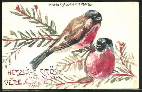 Künstler-AK Handgemalt: Vogelpaar auf einem Tannenzweig