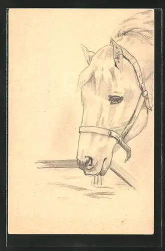 Künstler-AK Handgemalt: Pferd mit Zaumzeug an der Tränke