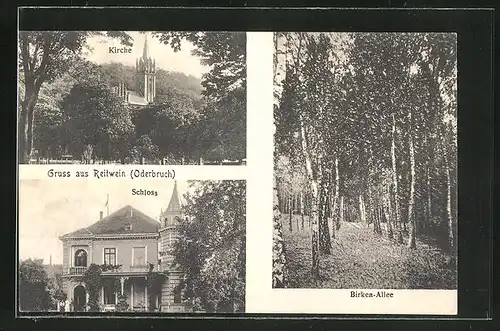 AK Reitwein, Kirche, Schloss und Birken-Allee