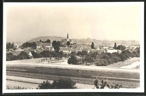 AK Biengen, Partie an der Kirche und Schloss mit Blick auf den Schwarzwald