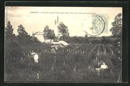 AK Gargan, Le Jardin perdu Lillois