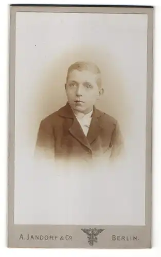 Fotografie A. Jandorf & Co., Berlin, Portrait Knabe in Anzug