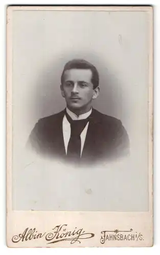 Fotografie Albin König, Jahnsbach i/S, Portrait Herr in Anzug