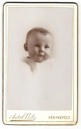 Fotografie Antal Bela, Szekesfehervar, Portrait pausbäckiges Baby