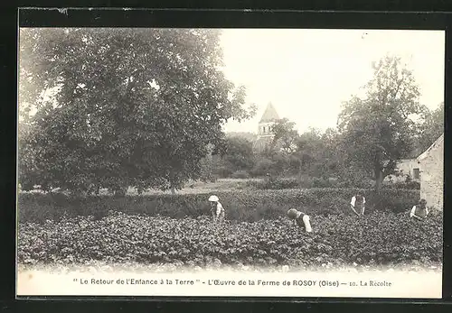 AK Rosoy, Le Retour de l'Enfance a la Terre, L'Oevre de la Ferme, La Recolte