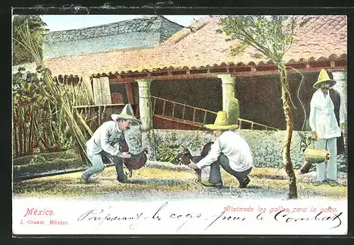 AK Mexiko, Männer beim Hahnenkampf