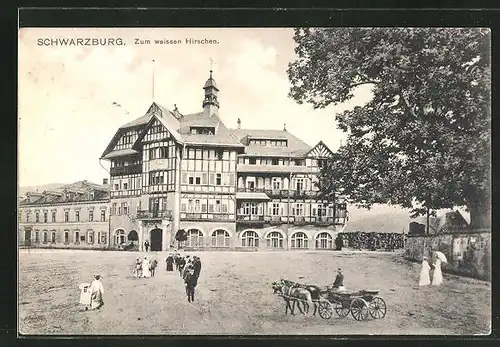 AK Schwarzburg, Blick auf das Hotel Zum weissen Hirschen