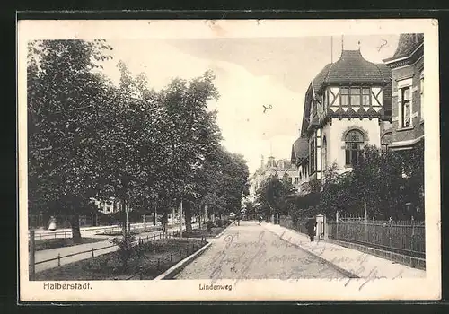 AK Halberstadt, Blick auf die Lindenweg-Strasse