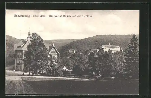 AK Schwarzburg / Thür., Hotel weisser Hirsch und Schloss