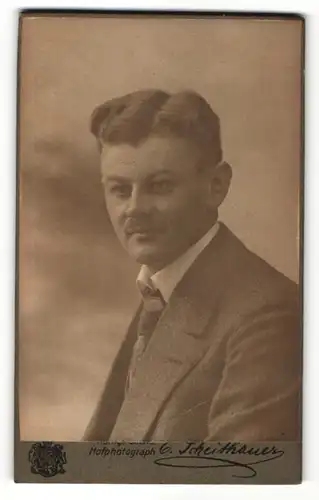 Fotografie E. Scheithauer, Zwickau i / S., Portrait Mann mit Schnurrbart im Anzug