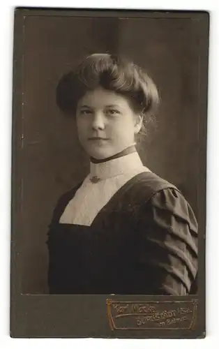 Fotografie Karl Mäckel, Burgstädt, Portrait junge Frau mit Kragenbrosche im bürgerlichen Kleid