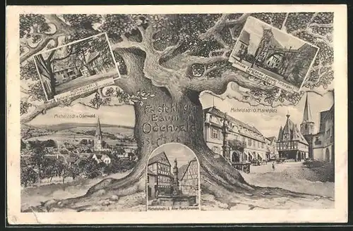 AK Michelstadt i. Odenwald, Baum mit Schloss Fürstenau, grosser Torbogen, Alter Marktbrunnen, Kellerei-Hof mit Museum