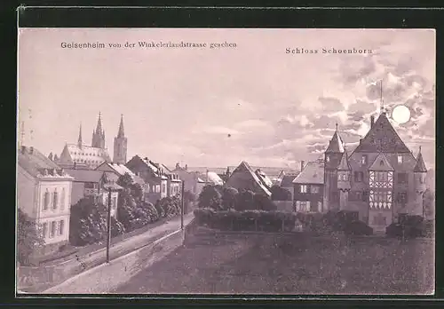 AK Geisenheim, Schloss Schoenborn und Winkelerlandstrasse
