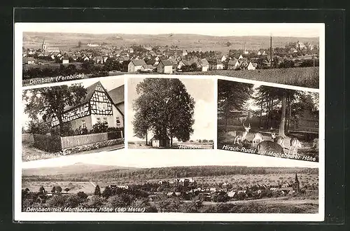 AK Dernbach, Ortsansicht, Altes Bauernhaus, Heilborn, Blick auf die Montabaurer Höhe